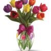 Colorful Tulips_Anniversary