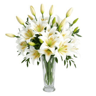 Serenity Cheer - Vase with White Lilies