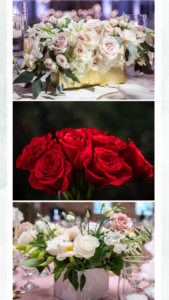 Roses category