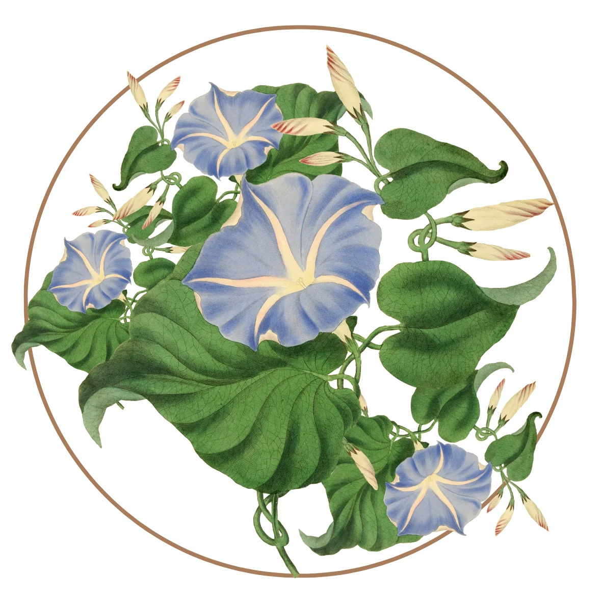 Charming thank you floral arrangement with vibrant blooms to express gratitude