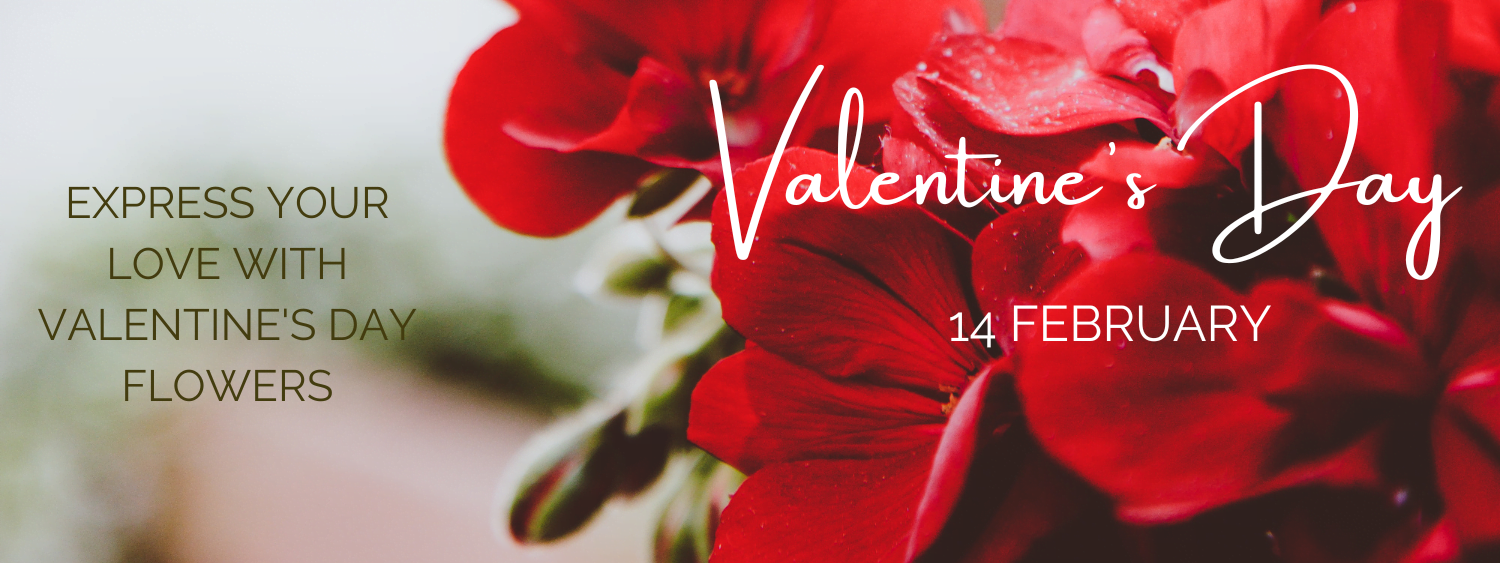 Valentine’s Day floral arrangement by Kaiflora