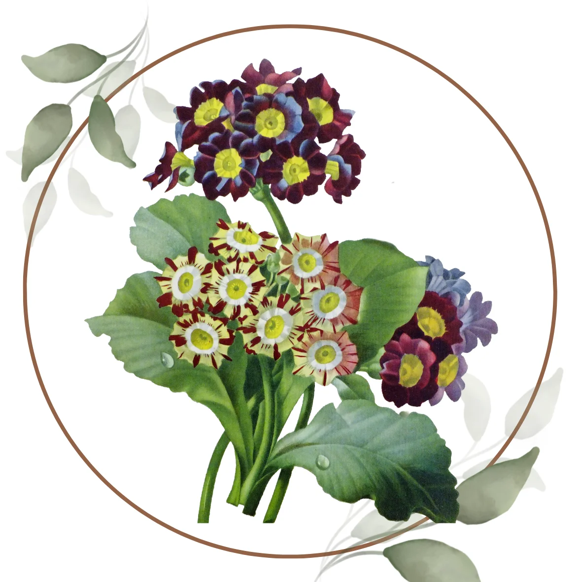 Housewarming Flowers