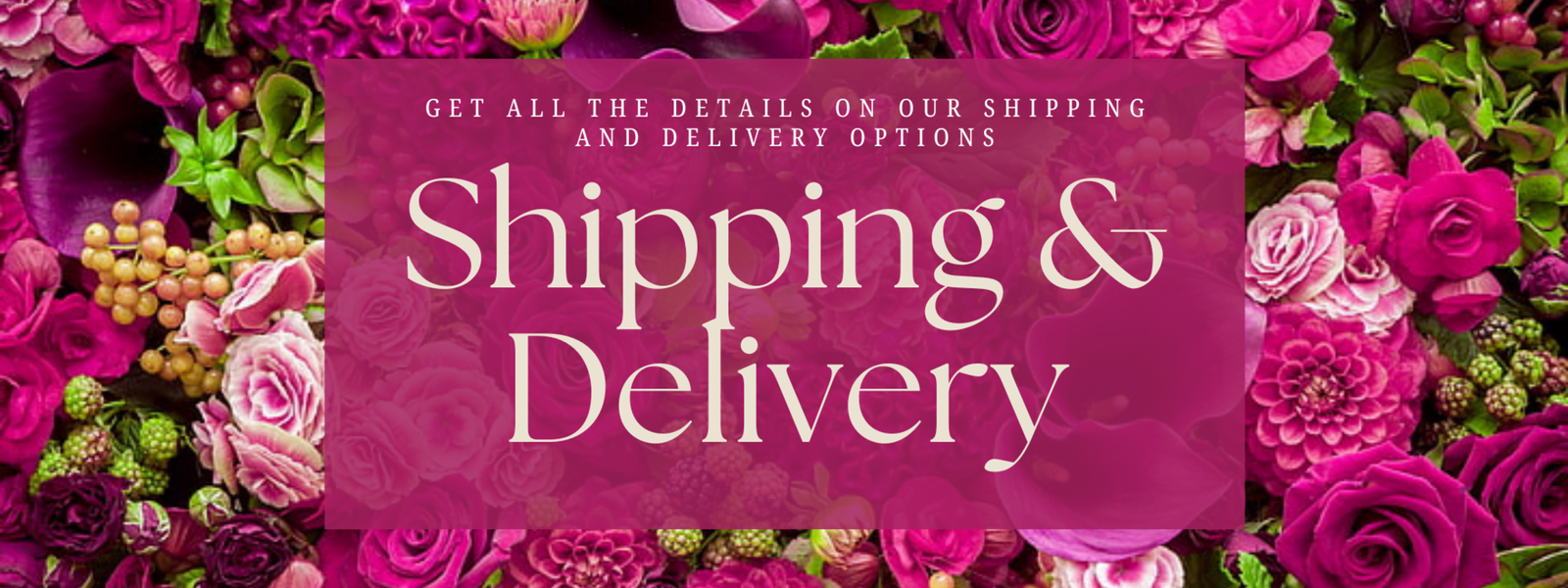 Shipping & Delivery Policy