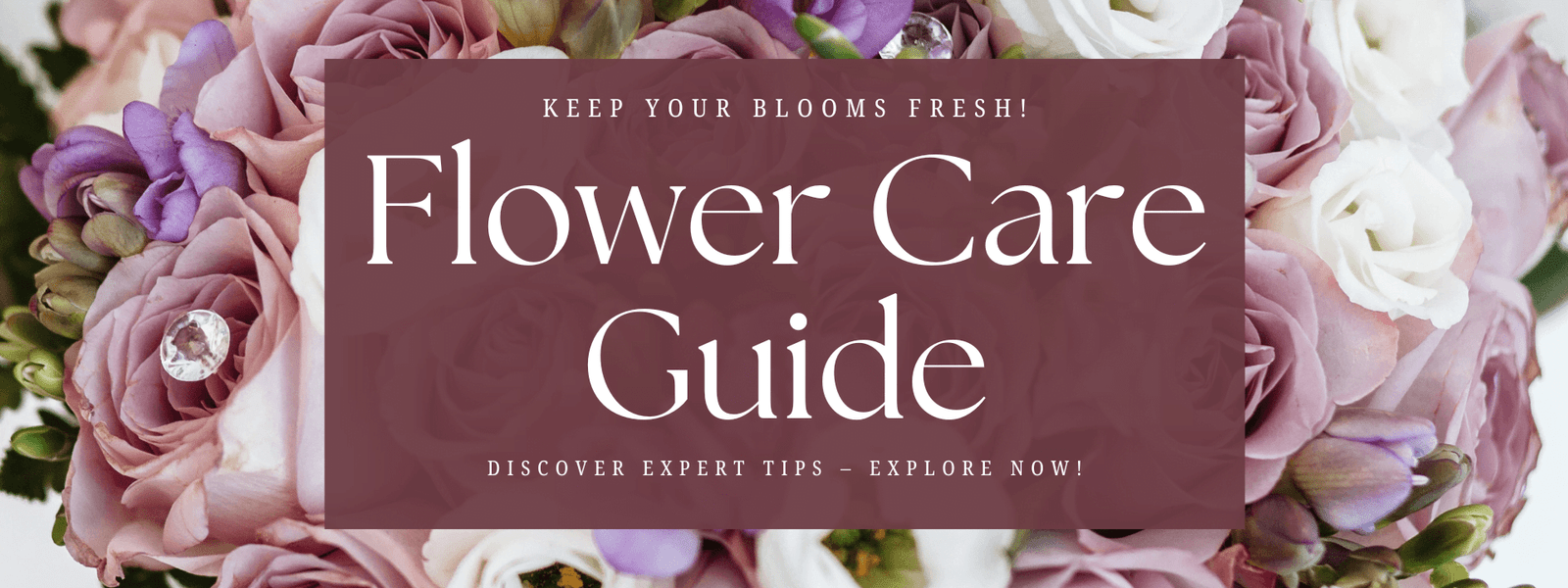 Flower Care Guide