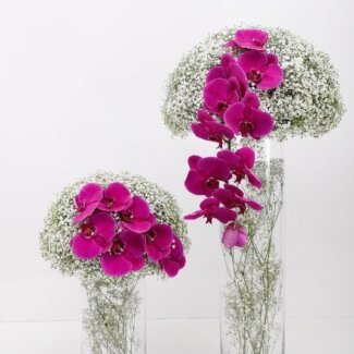 Centerpieces Pink White