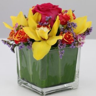 Cocktail Centerpiece