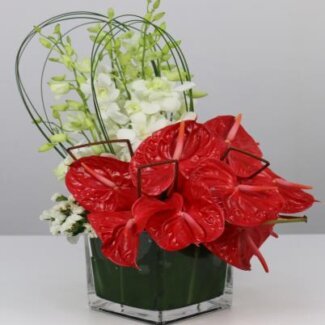 Cocktail Centerpiece
