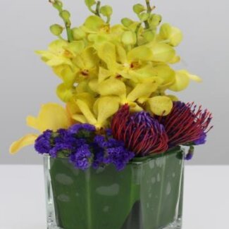 Cocktail Centerpiece