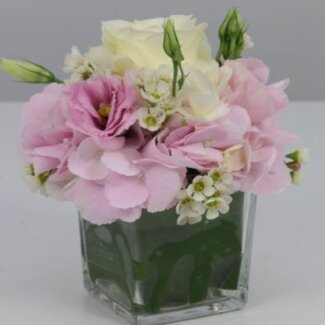 Cocktail Centerpiece