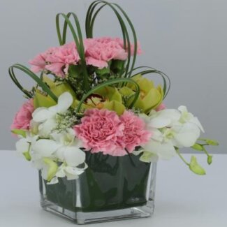 Cocktail Centerpiece
