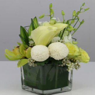 Cocktail Centerpiece
