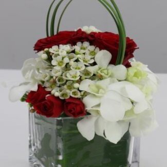 Cocktail Centerpiece