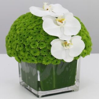 Cocktail Centerpiece