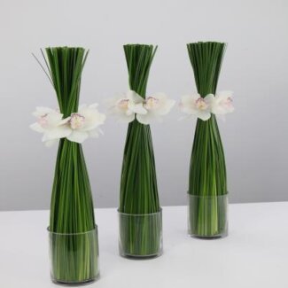 Cocktail Centerpiece