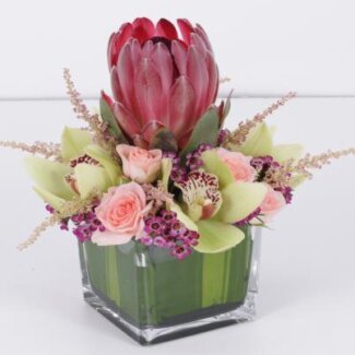 Cocktail Centerpiece