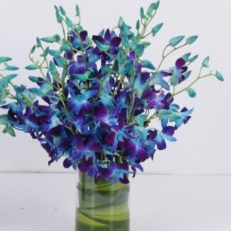 Cocktail Centerpiece