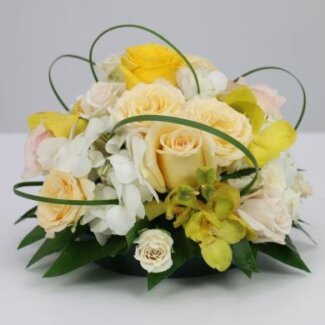 Cocktail Centerpiece
