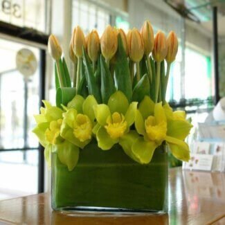 Tulip Centerpiece